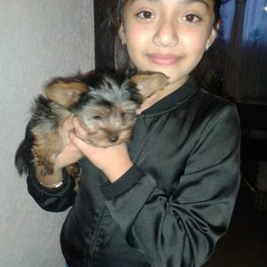 Meet your Posher, Leticia